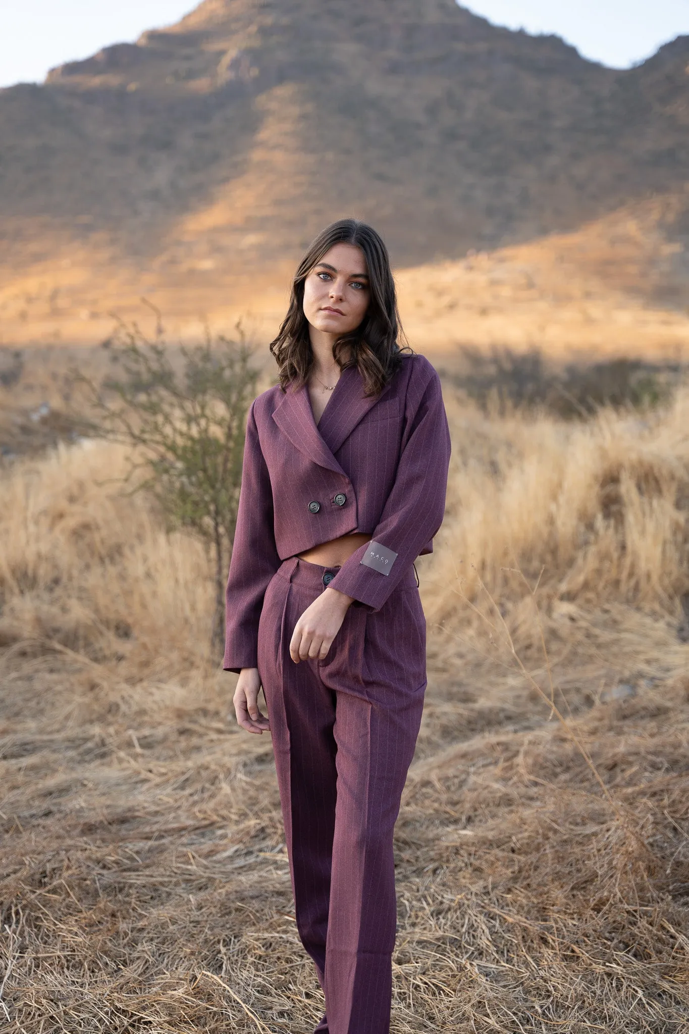 Blazer Wine Stripes