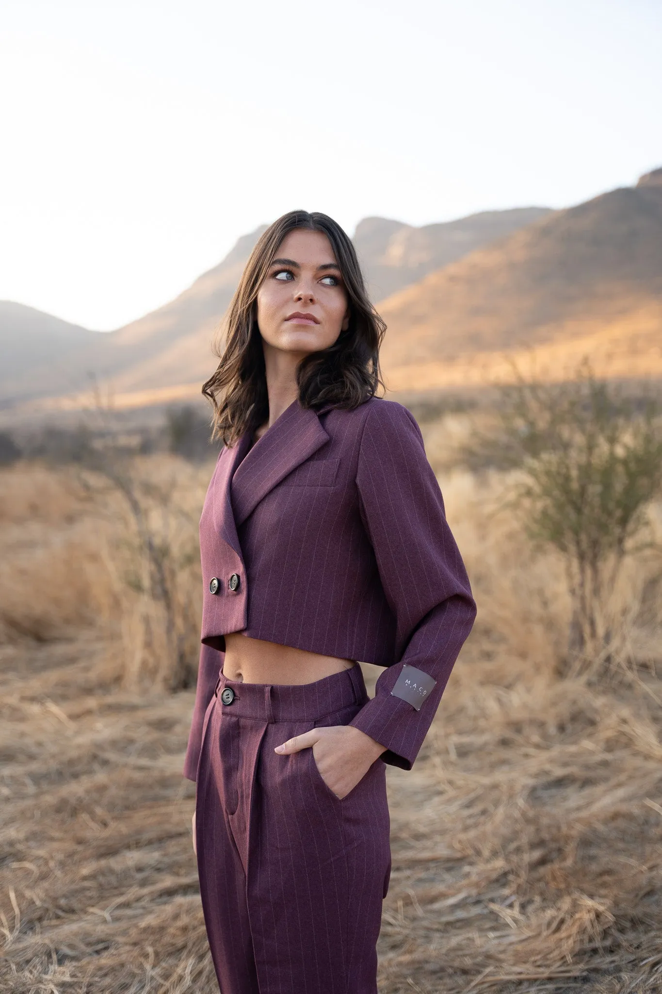 Blazer Wine Stripes