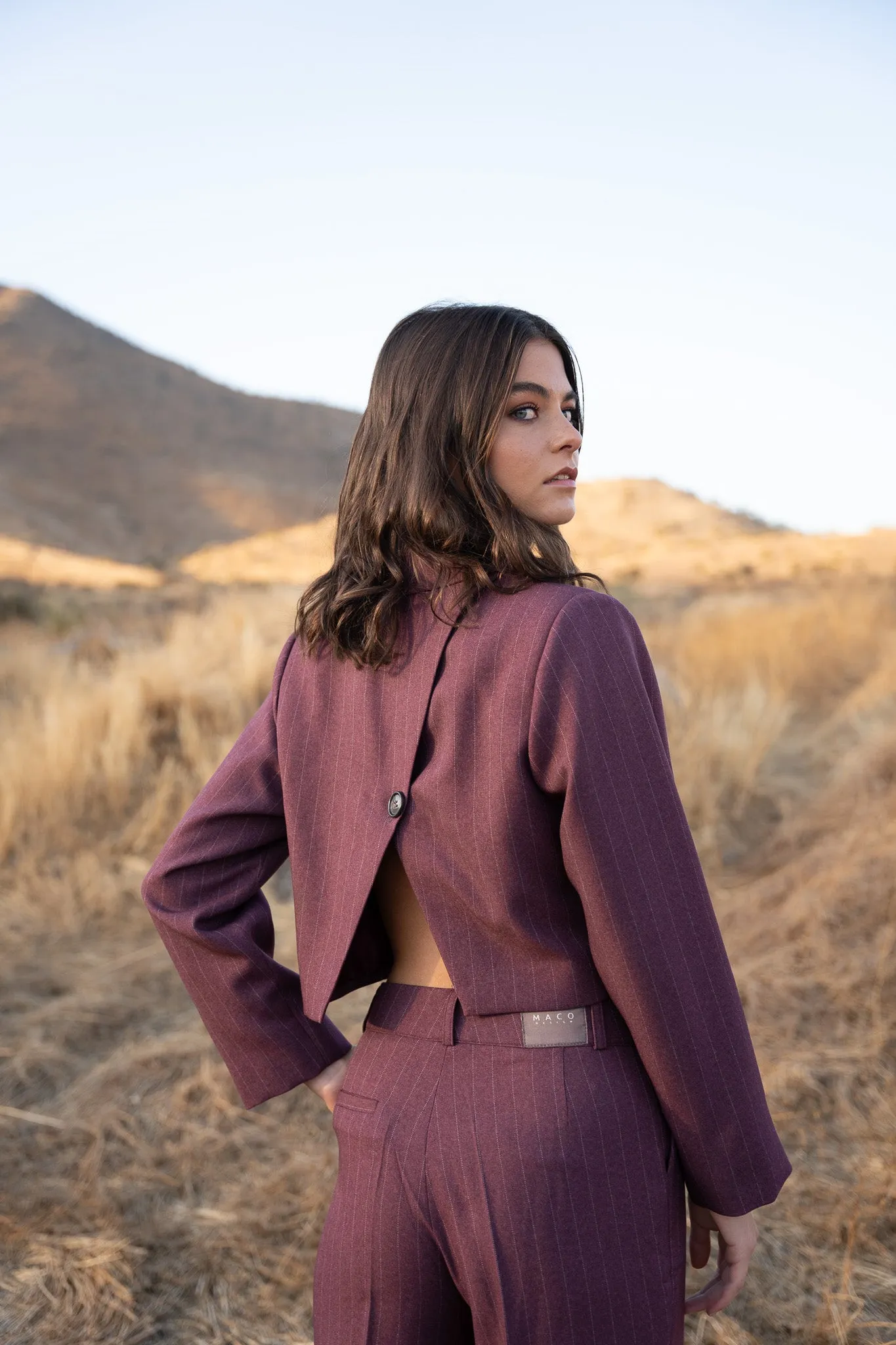 Blazer Wine Stripes