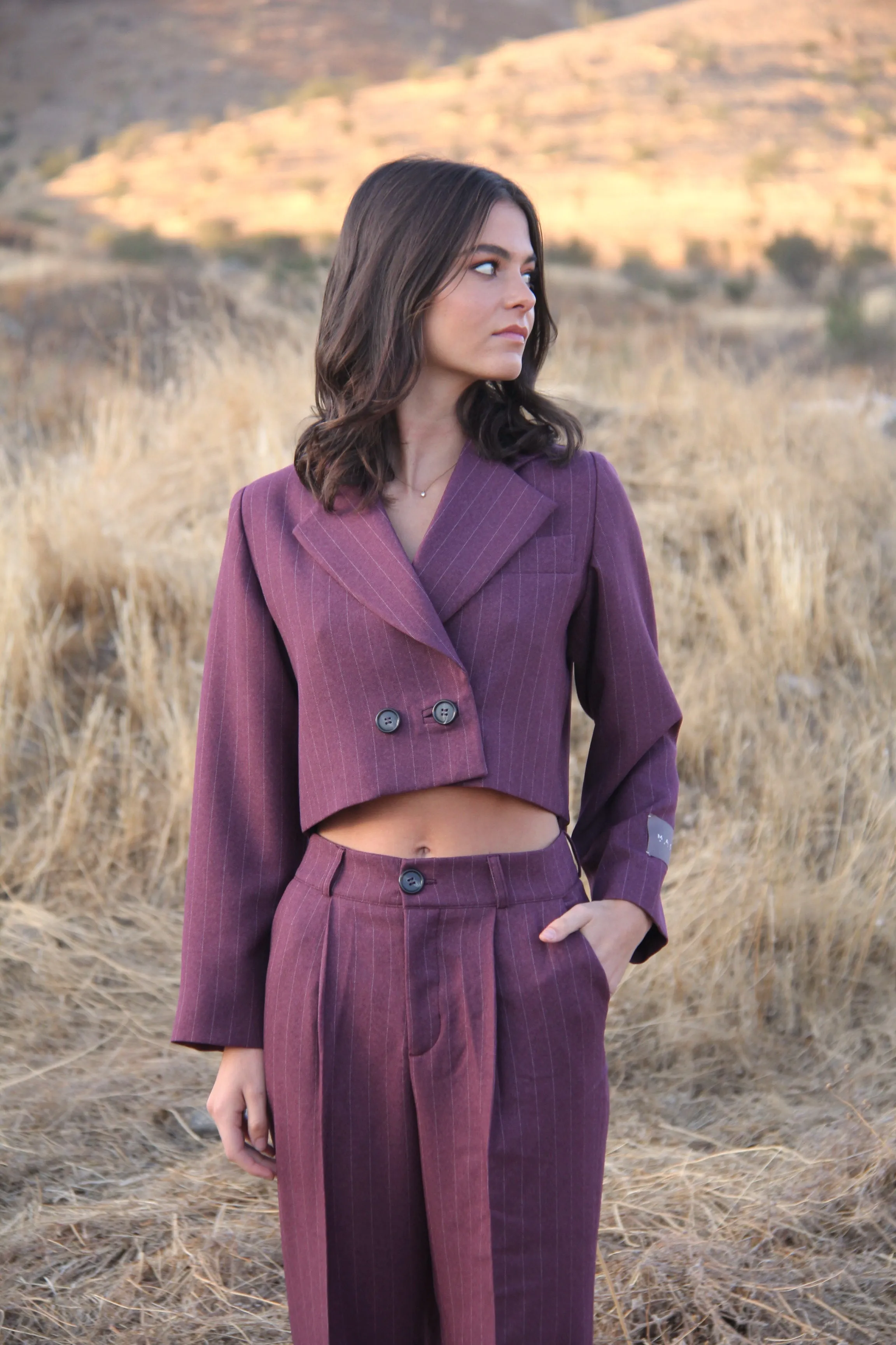 Blazer Wine Stripes