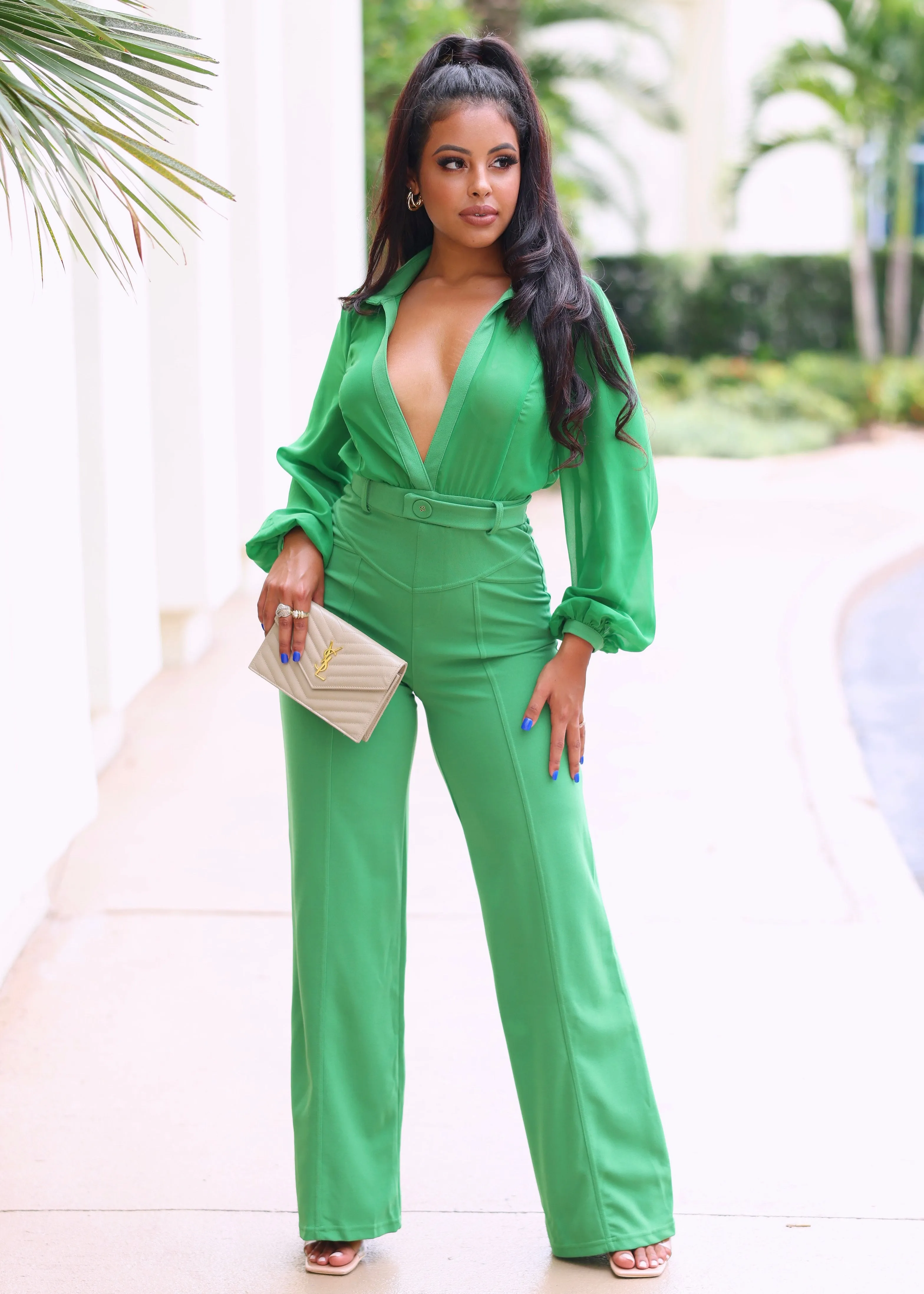 Boa Mesh Long Sleeves V-Neck Collared Jumpsuit