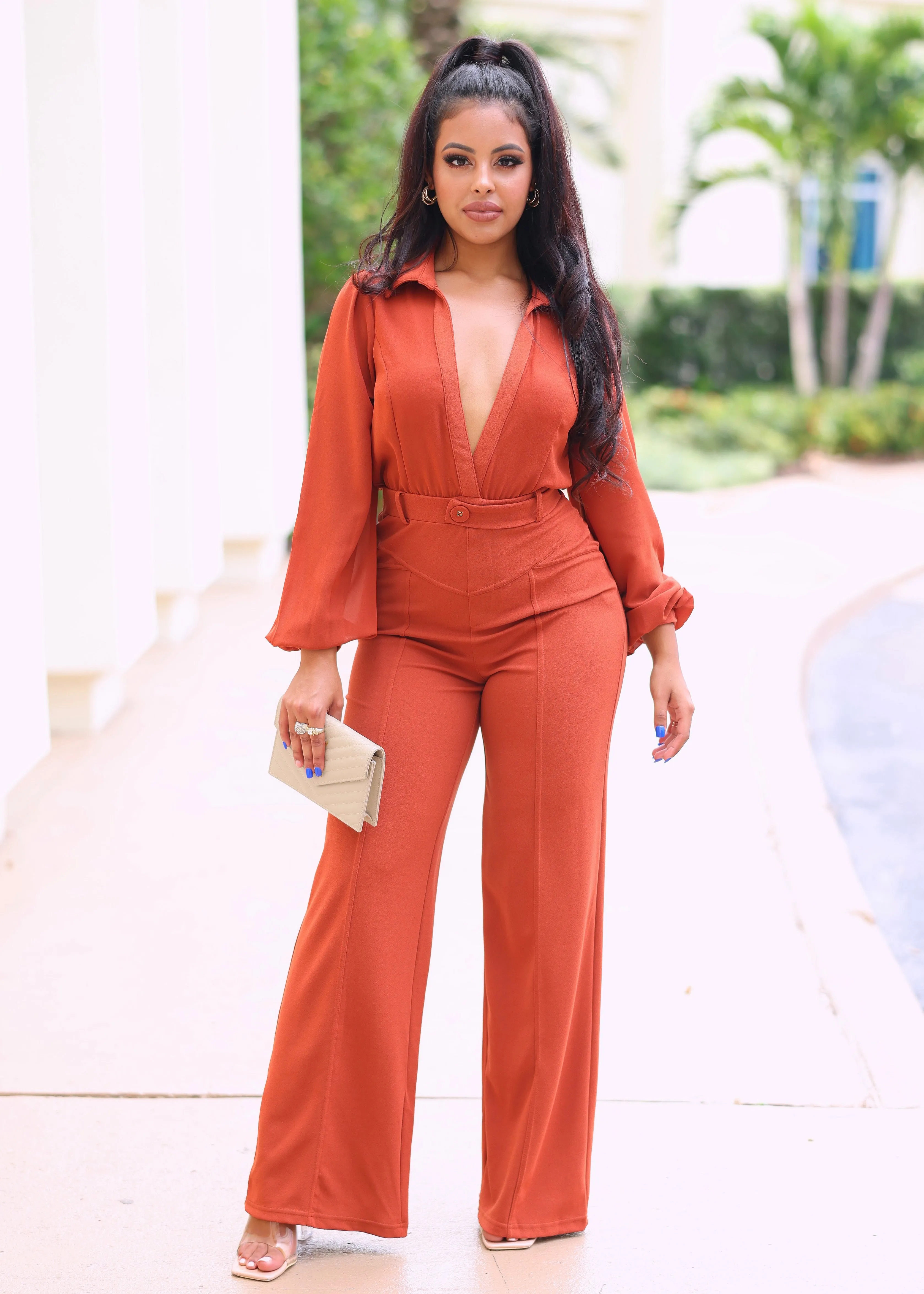 Boa Mesh Long Sleeves V-Neck Collared Jumpsuit