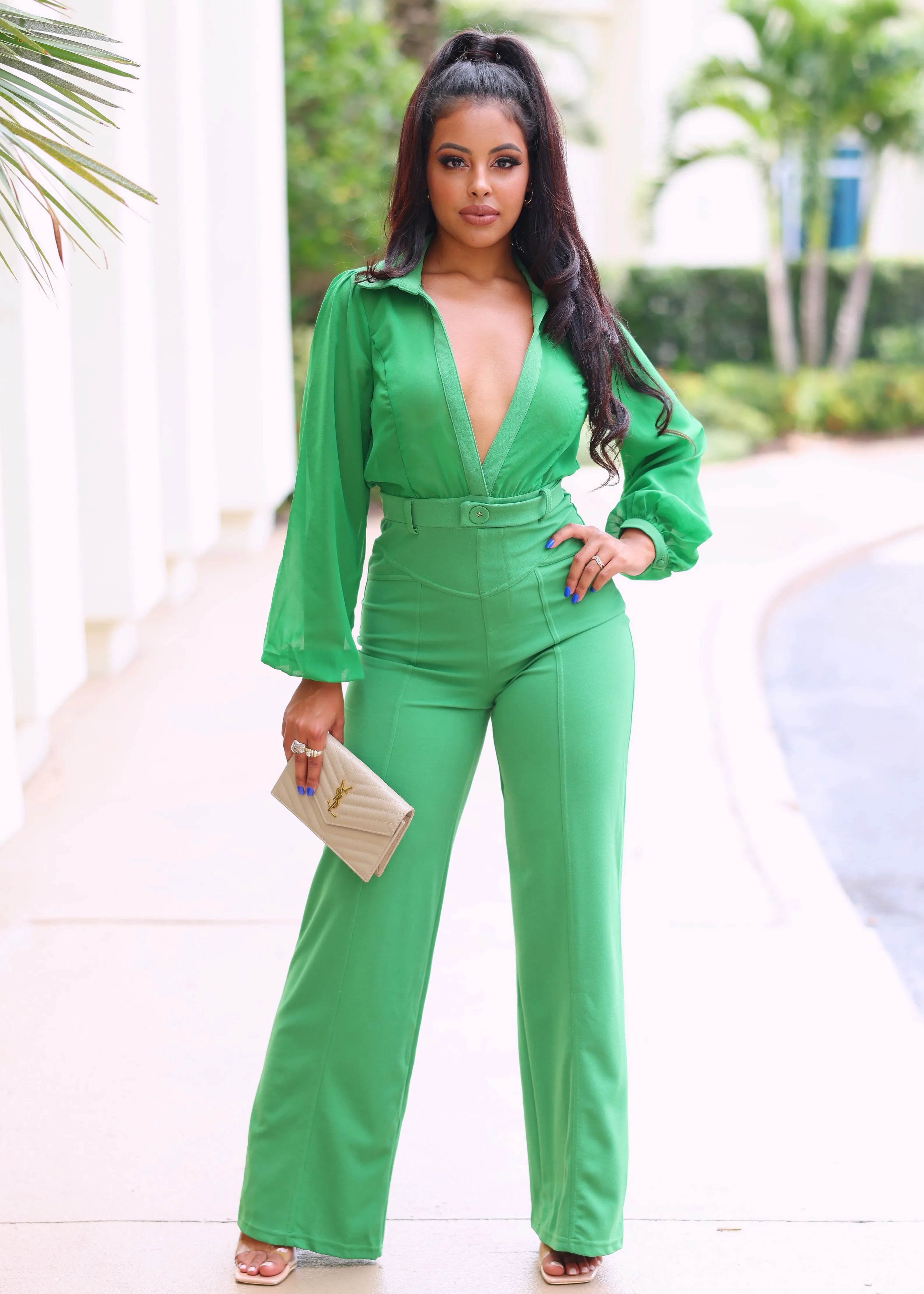 Boa Mesh Long Sleeves V-Neck Collared Jumpsuit