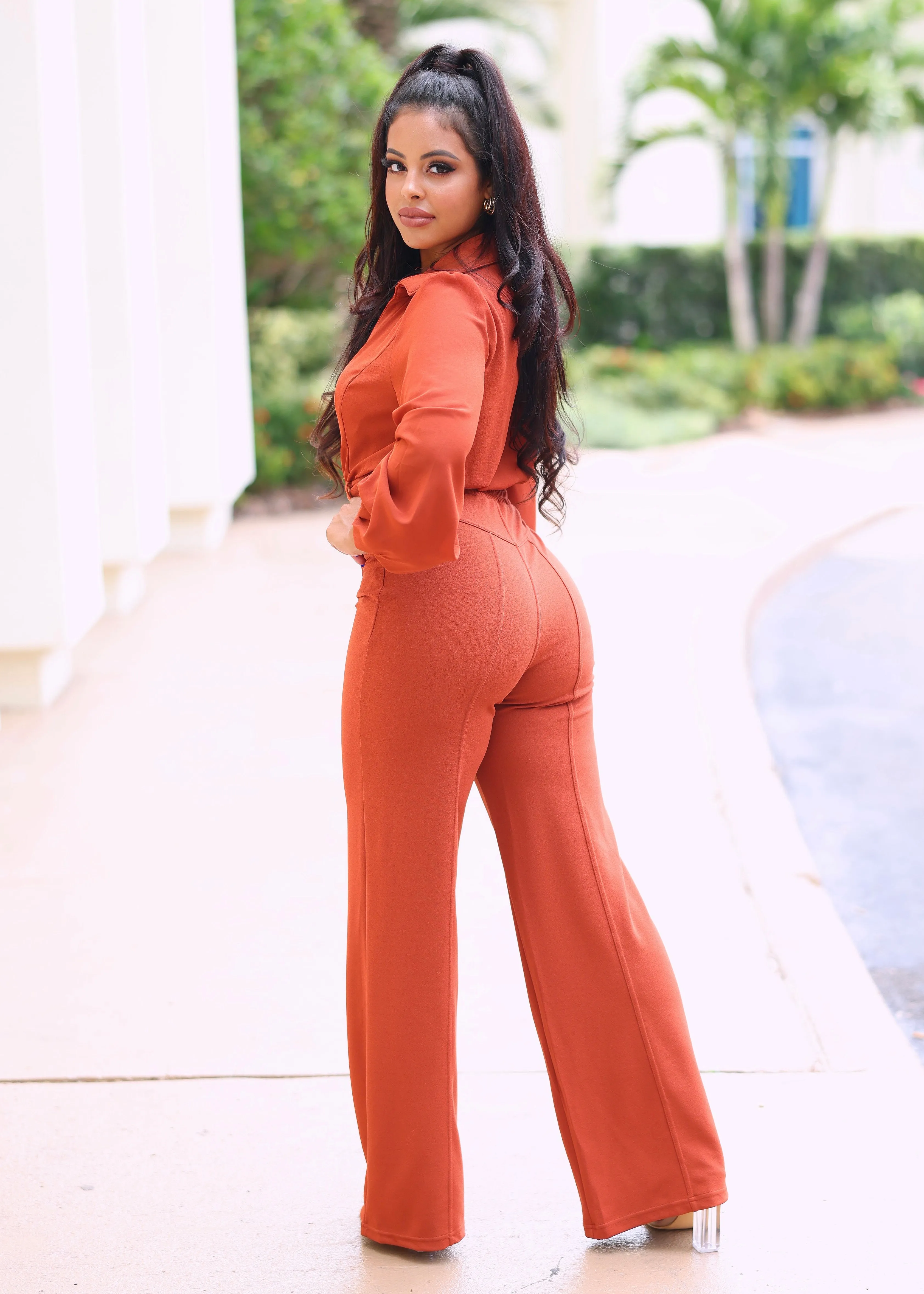 Boa Mesh Long Sleeves V-Neck Collared Jumpsuit