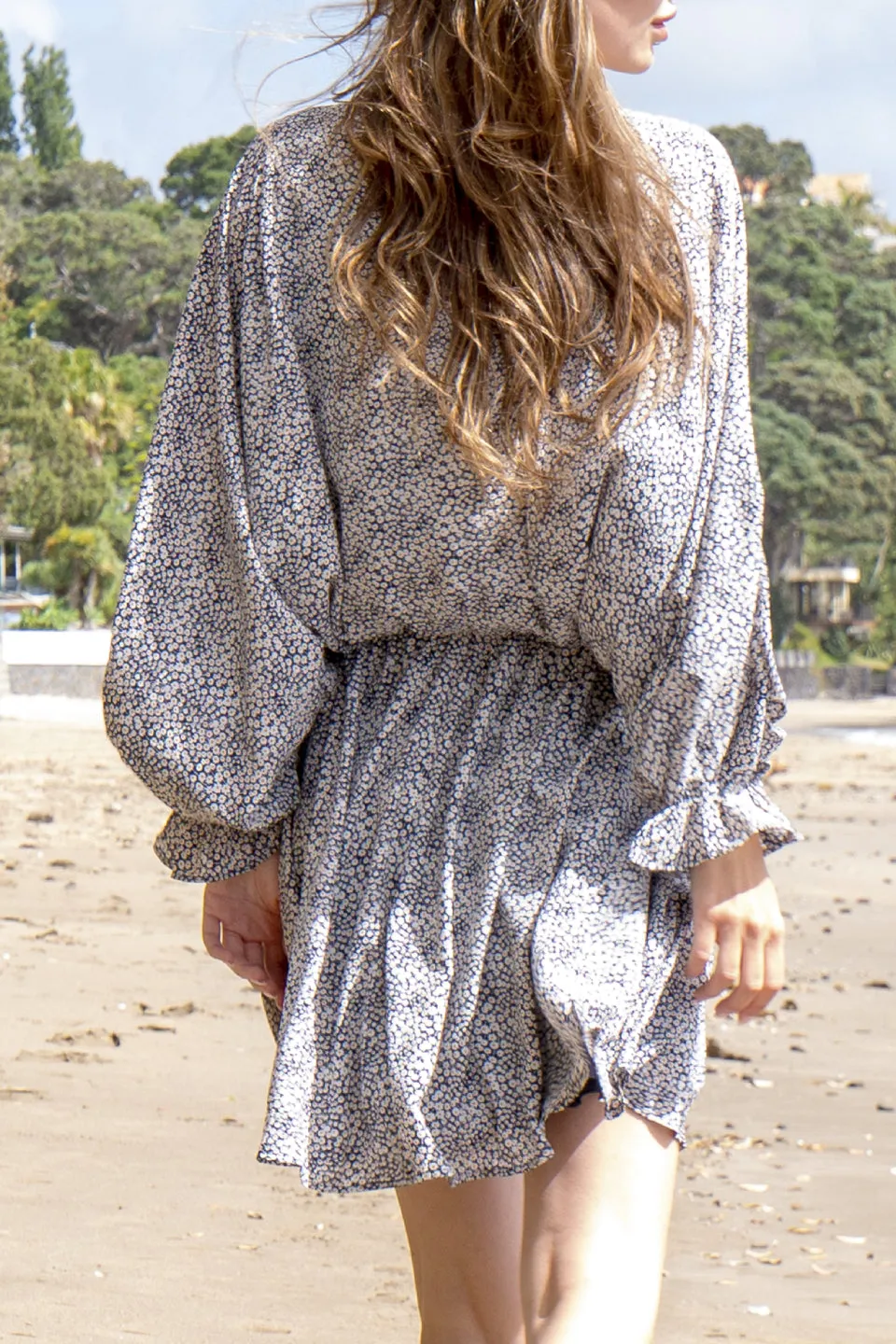 Den Ditsy Navy Floral Mini LS Dress